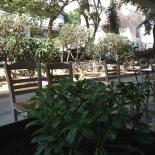 gallery_images_120915